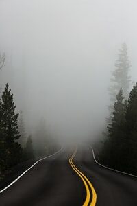 fog on the highway