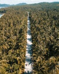 hemp farm