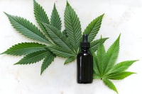 Why Terpenes and CBD Oil Will Change Your Life