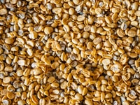 Are Hemp Seeds Good for You