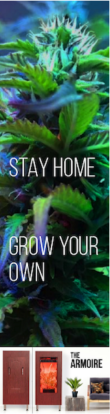 grow your own