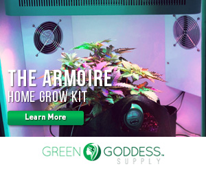 Armoire grow kit