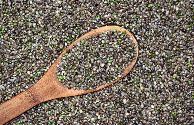 Hemp hearts and whole hemp seeds showing their difference in texture and outer hull